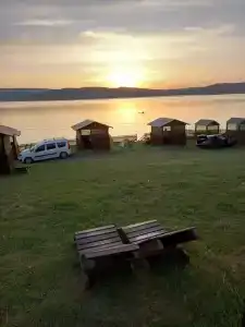 Родники - 33
