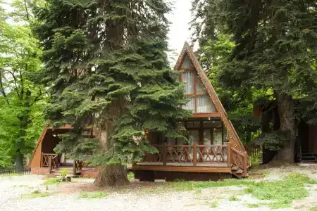 Дом мечты - 0