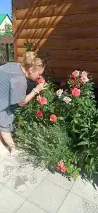 Айслуша - 45