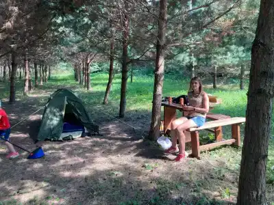 Велесов лес - 25