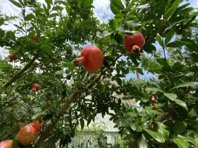 Экодом на Ореховом 5 - 20