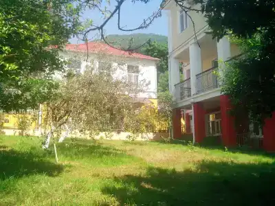 Бестужевский дворик - 30
