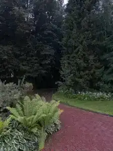 Пестово - 37