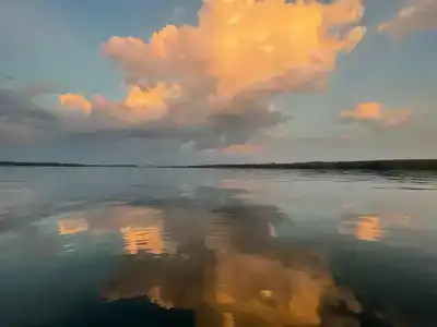 Поляна - 46