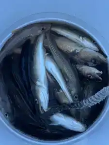 Гостевой дом - 69