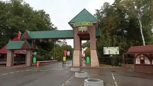 Беловежская пуща. №2 - 12