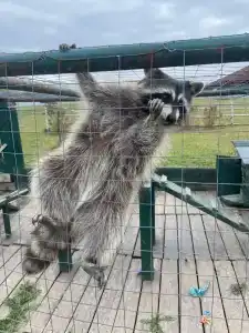 Александровский спас - 83