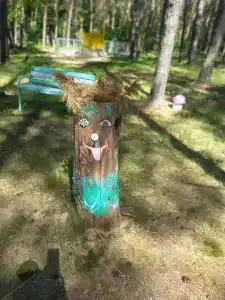 Сосновый бор - 34
