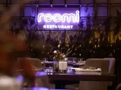 Отель-ресторан Roomi  - 4