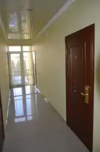 Кактус - 24