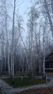 Жемчужина - 30