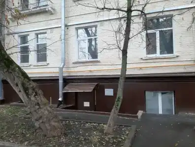 Брусника - 40