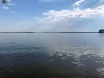 Сосновый бор - 91