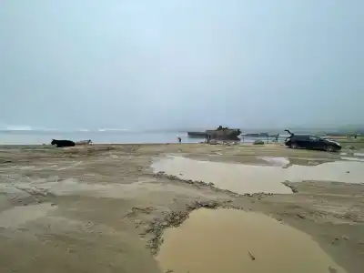 Морской бриз - 31