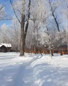 Холидей - 30