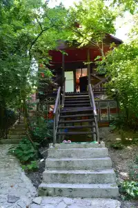 Лесная Поляна - 2