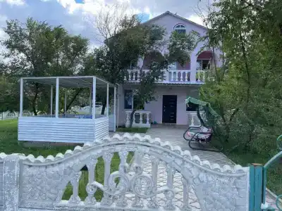 Дельфин - 3
