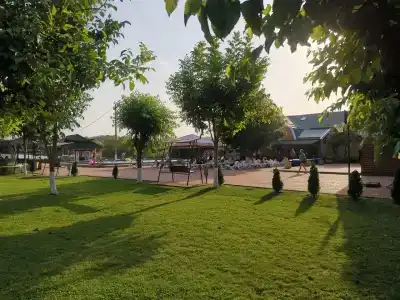 Кураж - 31