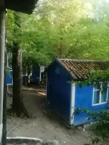 Золотое руно - 15