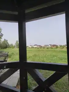 Березка - 37