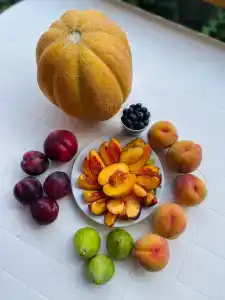 Азов Бриз - 48