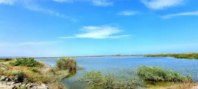 Аджи-Папас - 2