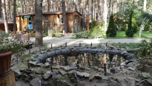 Чайка - 8