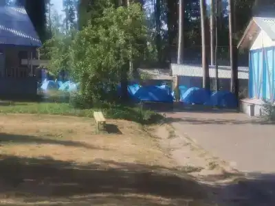 Волга - 19