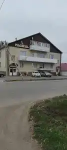 Медведь - 4