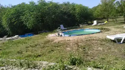 Сказочный лес - 54