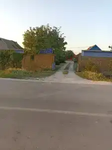 Сафари - 8