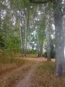 Кемпинг Парус - 34