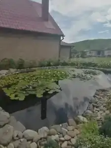 Акватория - 13