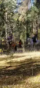 Русский лес - 62