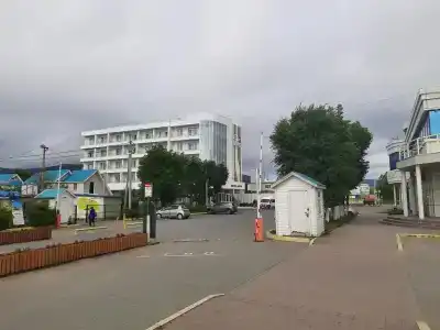 Звезда моря - 9