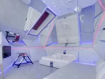 Подушкин - 7