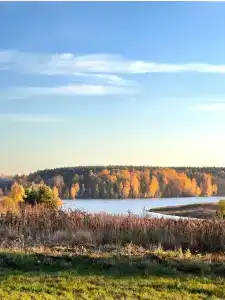 Богослово - 69