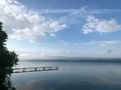 Лесные эльфы - 22