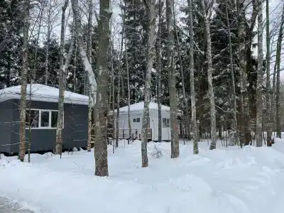 Березовка - 11