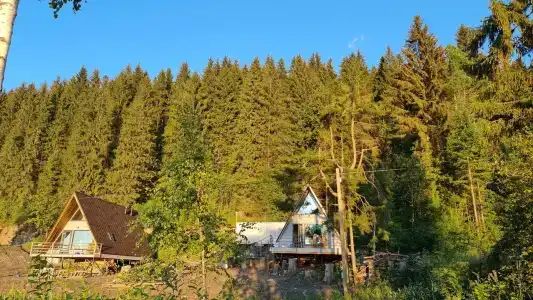 Остров - 5