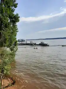 Хвойный бор - 31
