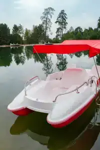 Славянка - 43