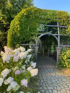 Ладожская Усадьба - 67