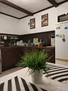 Berloga House - 31