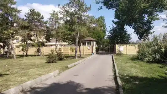 Янтарь - 3