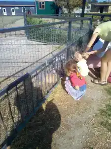 Страусиная ферма Экзотик - 39