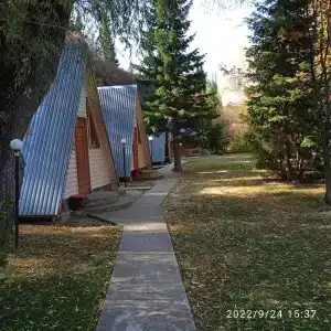 Таёжные дали - 8
