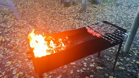 Северное Сияние - 22