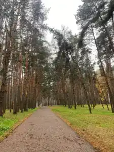 ОГБУЗ Санаторий для детей с родителями - 16