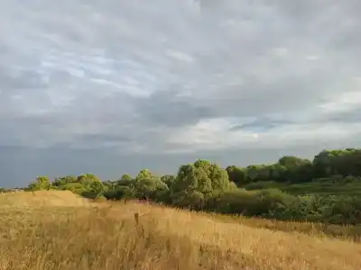 Дворцы - 6